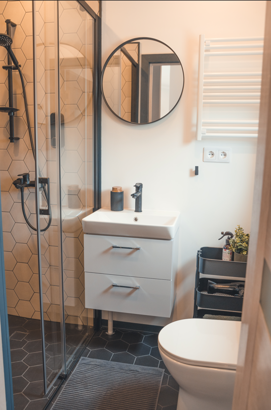 Mini moduļu mājas sānmezgls, kurā redzams gan tualetes pods, gan duša, gan arī pārējā santehnika un interjers