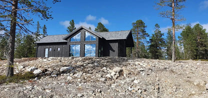 Privaatne maja must - AxoHouse